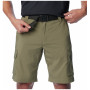 Чоловічі шорти Columbia Silver Ridge™ Utility Cargo Short