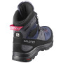 Жіночі черевики Salomon X Alp High Ltr Gtx W