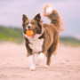 Іграшка для собак Explorer Dog AirBall Tips 8 cm