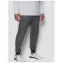 Чоловічі спортивні штани Under Armour Sportstyle Tricot Jogger