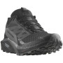Жіночі кросівки Salomon Sense Ride 5 Gore-Tex чорний