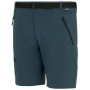 Чоловічі шорти Regatta Xert Stretch Shorts