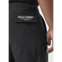 Чоловічі шорти Helly Hansen Move Qd Shorts
