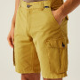 Чоловічі шорти Regatta Shorebay Shorts II