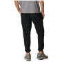 Чоловічі спортивні штани Columbia Hike™ Jogger