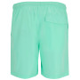 Чоловічі шорти Regatta Mackleyna Swim Short