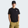 Чоловіча футболка The North Face M Evolution Box Nse Regular Short Sleeve