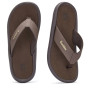 В'єтнамки Gumbies Noosa Brown