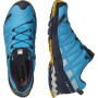 Чоловічі черевики Salomon Xa Pro 3D V8 GTX
