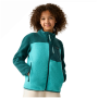 Дитяча функціональна толстовка Regatta Junior Frankie Warm Fleece Mediterranea/Turquoise