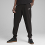Чоловічі спортивні штани Puma ESS 2 Color No. 1 Logo Sweatpants FL cl
