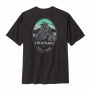 Чоловіча футболка Patagonia M's Chouinard Crest Pocket Responsibili-Tee