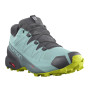 Жіночі черевики Salomon Speedcross 5 GTX W