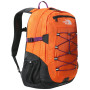 Міський рюкзак The North Face Borealis Classic