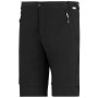 Чоловічі штани Regatta Mountain Z/O Trousers