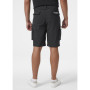 Чоловічі шорти Helly Hansen Move Qd Shorts