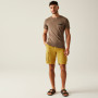 Чоловічі шорти Regatta Shorebay Shorts II