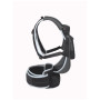 Переноска для дитини Osprey Poco Soft Child Carrier