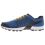 Чоловічі черевики Inov-8 Roclite 290 M