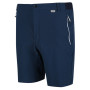 Чоловічі шорти Regatta Mountain ShortsII