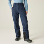 Чоловічі штани Dare 2b Achieve III Pant regular
