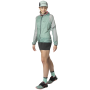 Жіночі шорти Dynafit Sky Short Tights W