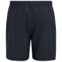 Чоловічі шорти Regatta Hadlin Shorts