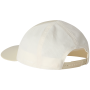 Кепка The North Face Summer Lt Trucker