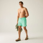 Чоловічі шорти Regatta Mackleyna Swim Short