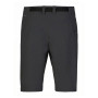 Жіночі шорти Hannah Atta Shorts