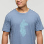 Чоловіча футболка Cotopaxi Into the Pines T-Shirt