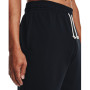 Чоловічі шорти Under Armour Rival Terry Short