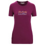 Жіноча функціональна футболка Icebreaker Women Tech Lite II SS Tee Mountain Geology фіолетовий