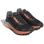 Жіночі черевики Adidas Terrex Agravic Flow 2 GTX W