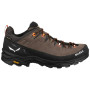 Чоловічі туристичні черевики Salewa Alp Trainer 2 Gtx M