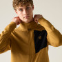 Чоловіча толстовка Dare 2b Venture Stretch Midlayer
