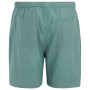 Чоловічі шорти Regatta Hadlin Shorts