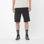 Чоловічі шорти Salomon Outerpath Utility short