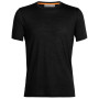Чоловіча футболка Icebreaker Men Sphere II SS Tee чорний