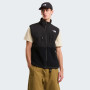 Чоловіча жилетка The North Face M Retro Denali Vest