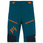 Чоловічі шорти Karpos Rapid Baggy Short