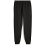 Чоловічі спортивні штани Puma ESS 2 Color No. 1 Logo Sweatpants FL cl