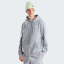 Чоловіча толстовка The North Face M Evolution Simple Dome Regular Hoodie