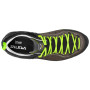 Чоловічі черевики Salewa MS MTN Trainer 2 L