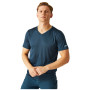 Чоловіча футболка Regatta Fingal V-Neck