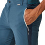 Чоловічі шорти Regatta Mountain ShortsII M