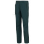 Чоловічі штани Regatta Highton Trousers II
