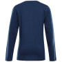 Дитяча футболка Alpine Pro Ecco 2 Blue
