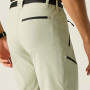 Чоловічі штани Regatta Xert Stretch Trousers