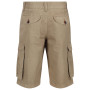 Чоловічі шорти Regatta Shorebay Short